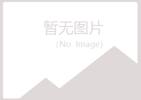 鹤岗兴山狼狈建设有限公司